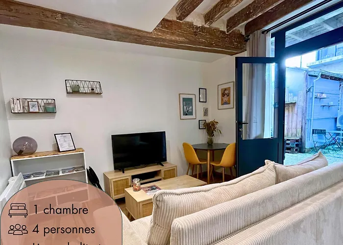 La Cour Chartraine - Cosy Appartement Avec Cour Exterieur A Blois